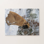 English Mastiff dog "Snow Pose"-fotopuzzel Legpuzzel (Horizontaal)