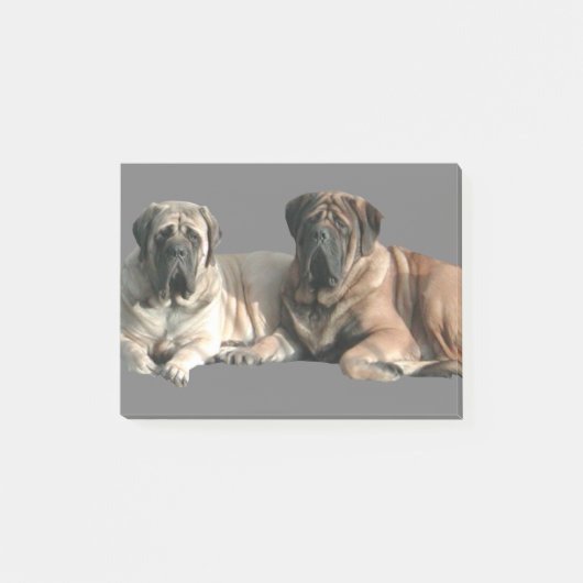 English Mastiff Freunde Post-it® Notes (Voorkant)