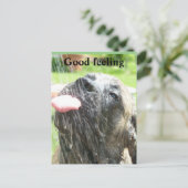 English Mastiff gutes Gefühl  Briefkaart (Staand voorkant)