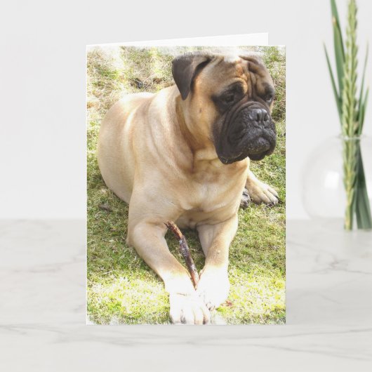 English Mastiff Wenskaart Kaart (Voorkant)
