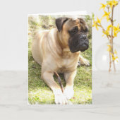 English Mastiff Wenskaart Kaart (Gele Bloem)