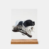 English Pointer  Acryl Bord (Voorkant)