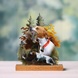 English Pointer  Acryl Bord