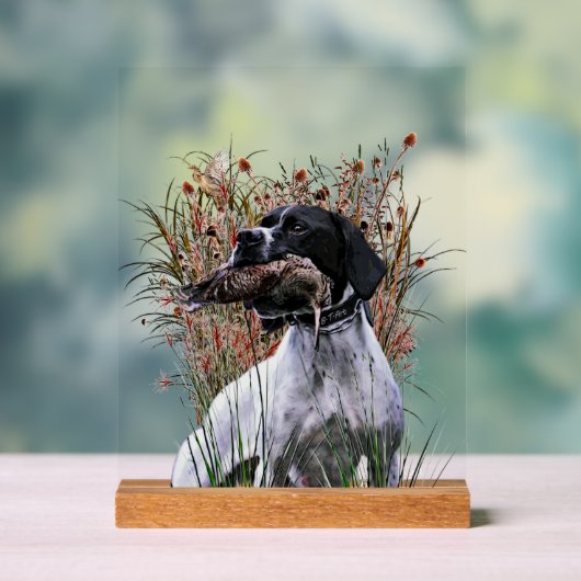 English Pointer  Acryl Bord (Neutraal)