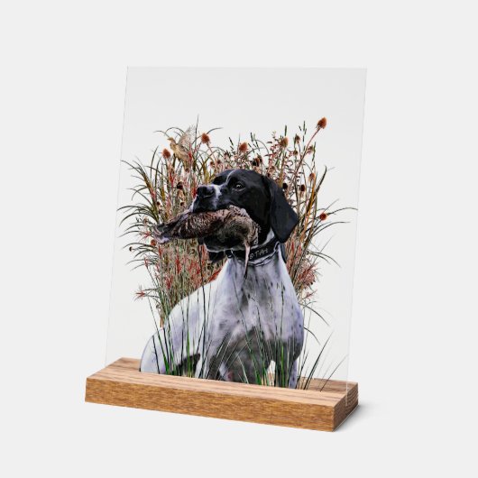 English Pointer  Acryl Bord (Hoek)