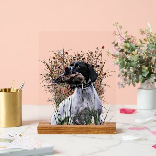 English Pointer  Acryl Bord (Huwelijk)