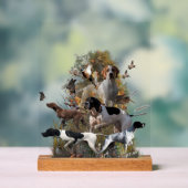 English Pointer  Acryl Bord (Neutraal)