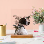 English Pointer  Acryl Bord (Huwelijk)