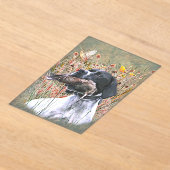 English pointer acryl uitnodigingen (Laagn)