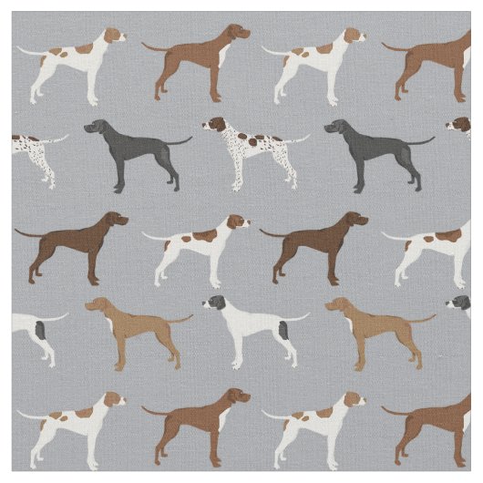 English Pointer Dog Stof (Close Up)