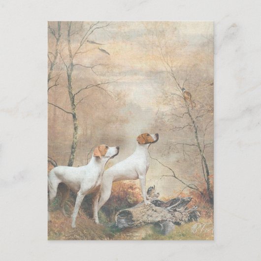 English Pointer jaagt op de fazanten Briefkaart (Voorkant)
