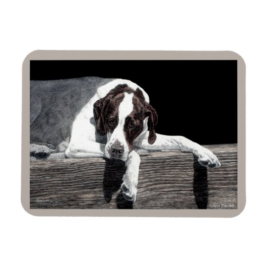 English Pointer Magnet - "Sophie" Magneet (Horizontaal)