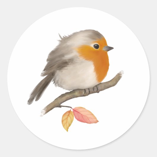 English Robin Bird Ronde Sticker (Voorkant)