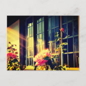 English Rose Briefkaart (Voorkant)