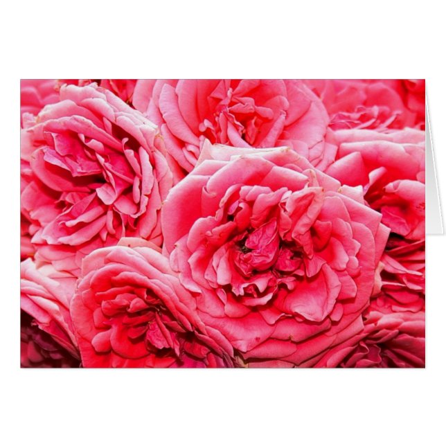 English Rozen Bouquet (Voorkant Horizontaal)