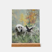 English Setter  Acryl Bord (Voorkant)