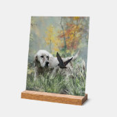 English Setter  Acryl Bord (Hoek)