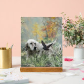 English Setter  Acryl Bord (Huwelijk)