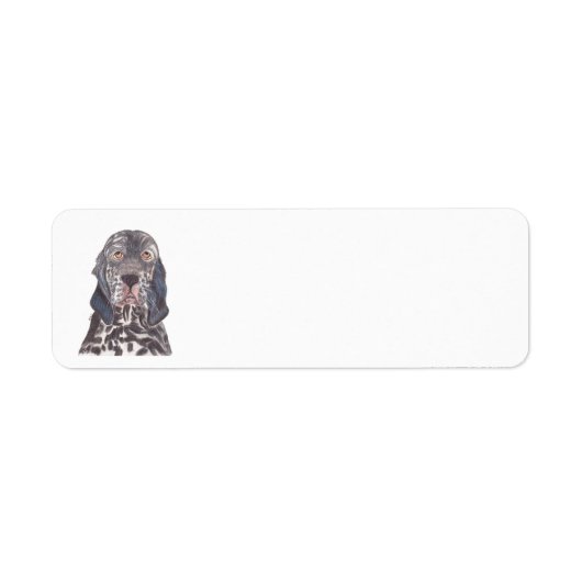 ENGLISH SETTER ETIKET (Voorkant)