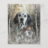 English Setter  Flyer (Voorkant)