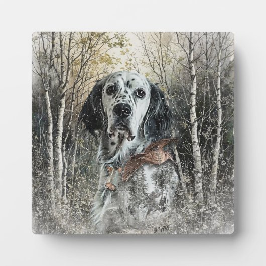 English Setter  Fotoplaat (Voorkant)