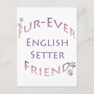 English Setter Furever Briefkaart