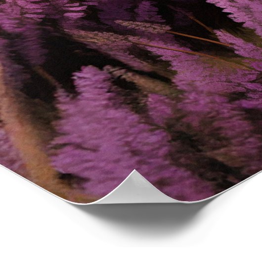 English Setter op de hei Poster (Hoek)