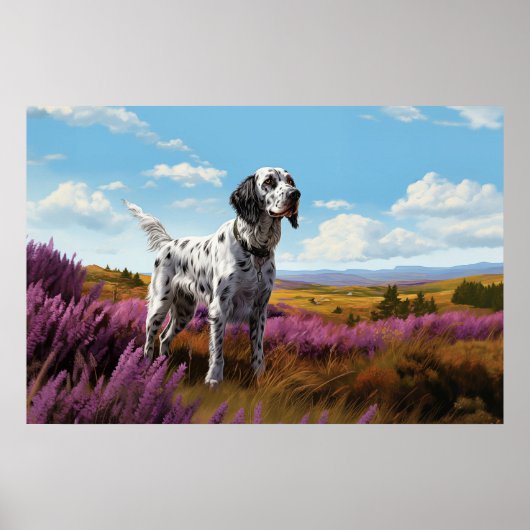 English Setter op de hei Poster (Voorkant)