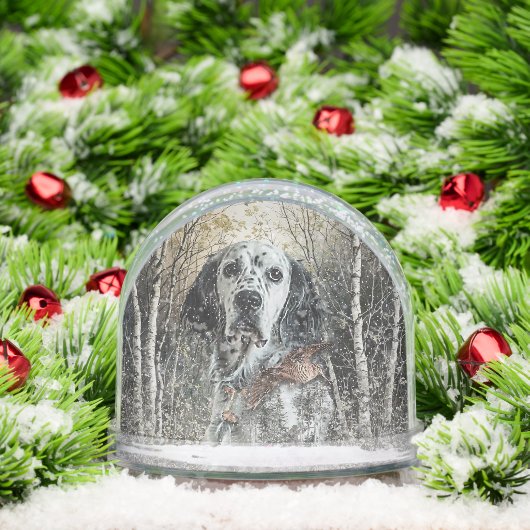 English Setter  Sneeuwbol (Kerstmis)