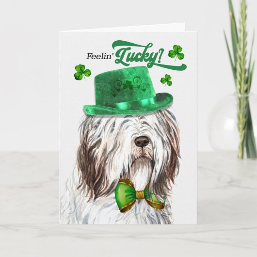 English Sheepdog Feelin' Lucky St Patrick's Day Feestdagen Kaart (Voorkant)
