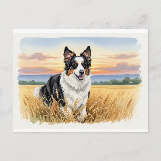 English Shepherd in a Field of Wheat Briefkaart (Voorkant)