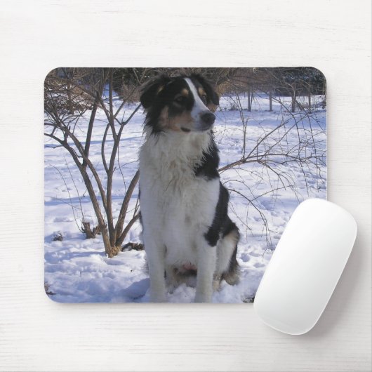 English Shepherd - Paige Muismat (Met muis)