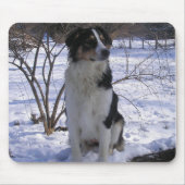 English Shepherd - Paige Muismat (Voorkant)
