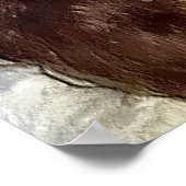 English Springer Spaniel Art Gifts Poster (Hoek)