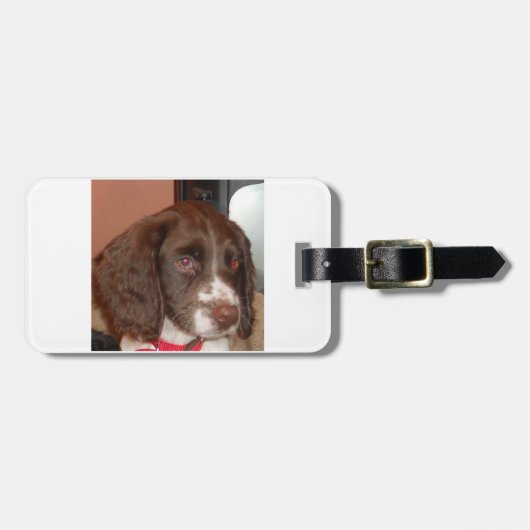 English_Springer_Spaniel lw puppy Bagagelabel (Voorkant horizontaal)