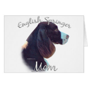 English Springer Spaniel Ma 2