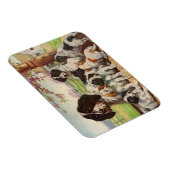 English Springer Spaniel mama en puppies Magneet (Rechterzijde)