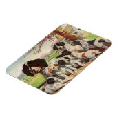 English Springer Spaniel mama en puppies Magneet (Linkerzijde)