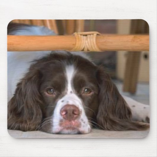 English Springer Spaniel Mousepad Muismat (Voorkant)