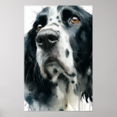 English springer spaniel portrait with ticking poster (Voorkant)