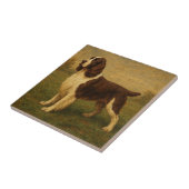 English Springer Spaniel Tegeltje (Zijkant)