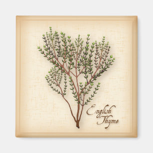 English Thyme Herb Magneet