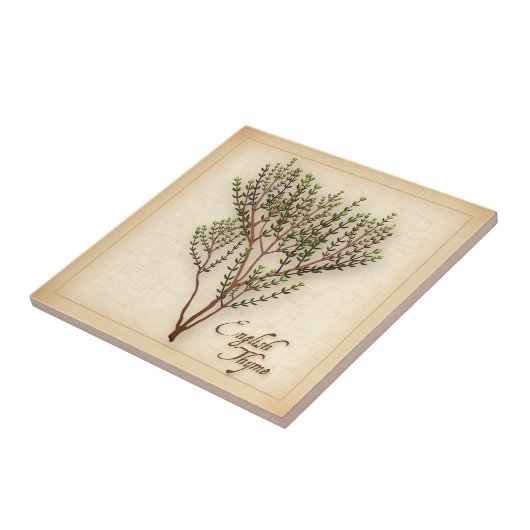 English Thyme Herb Tegeltje (Zijkant)