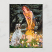 EnglishSetter 1 - MidEve Briefkaart (Voorkant)
