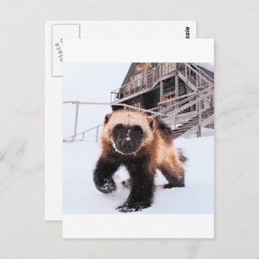 Engraved Wolverine Briefkaart (Voorkant / Achterkant)