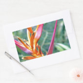 Enhanced Heliconia Flower Rechthoekige Sticker (Envelop)