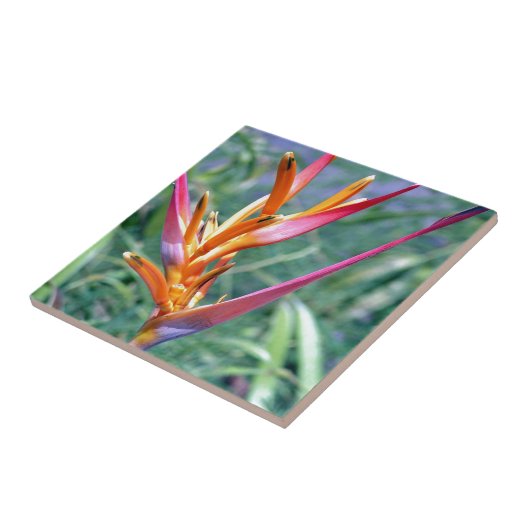 Enhanced Heliconia Flower Tegeltje (Zijkant)