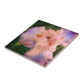 Enhanced Peach & Paars Iris Tegeltje (Zijkant)