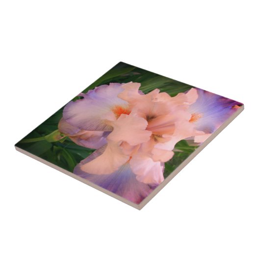 Enhanced Peach & Paars Iris Tegeltje (Zijkant)