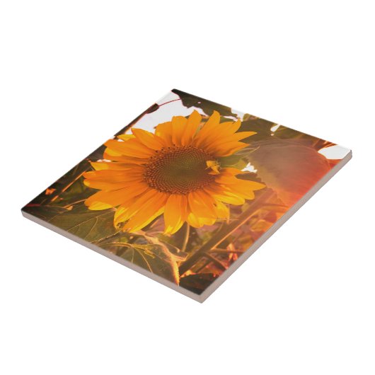 Enhanced Sunflower Tegeltje (Zijkant)